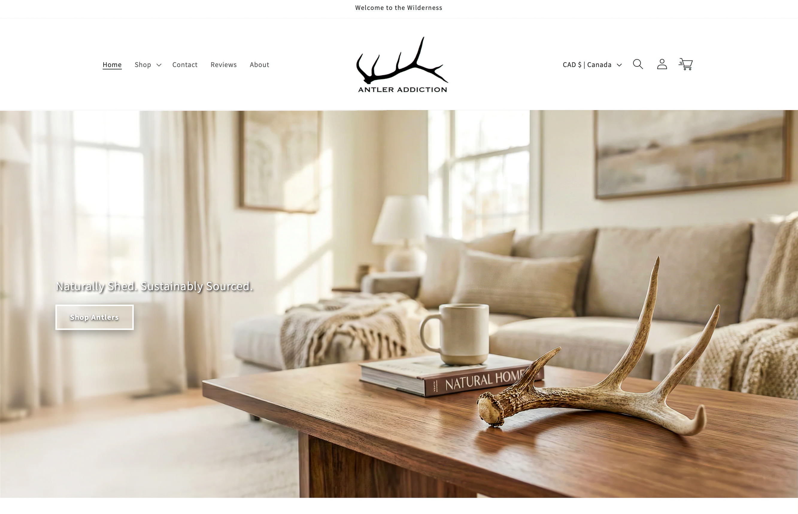 Storefront homepage