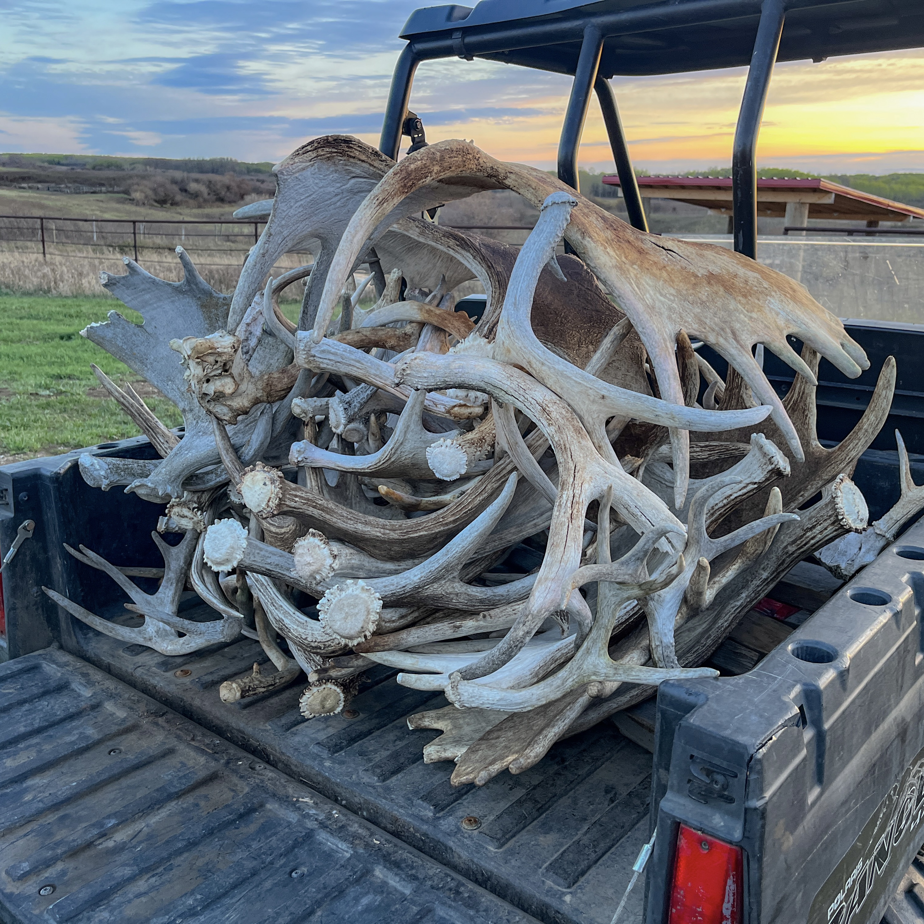 A Good weekend of walking