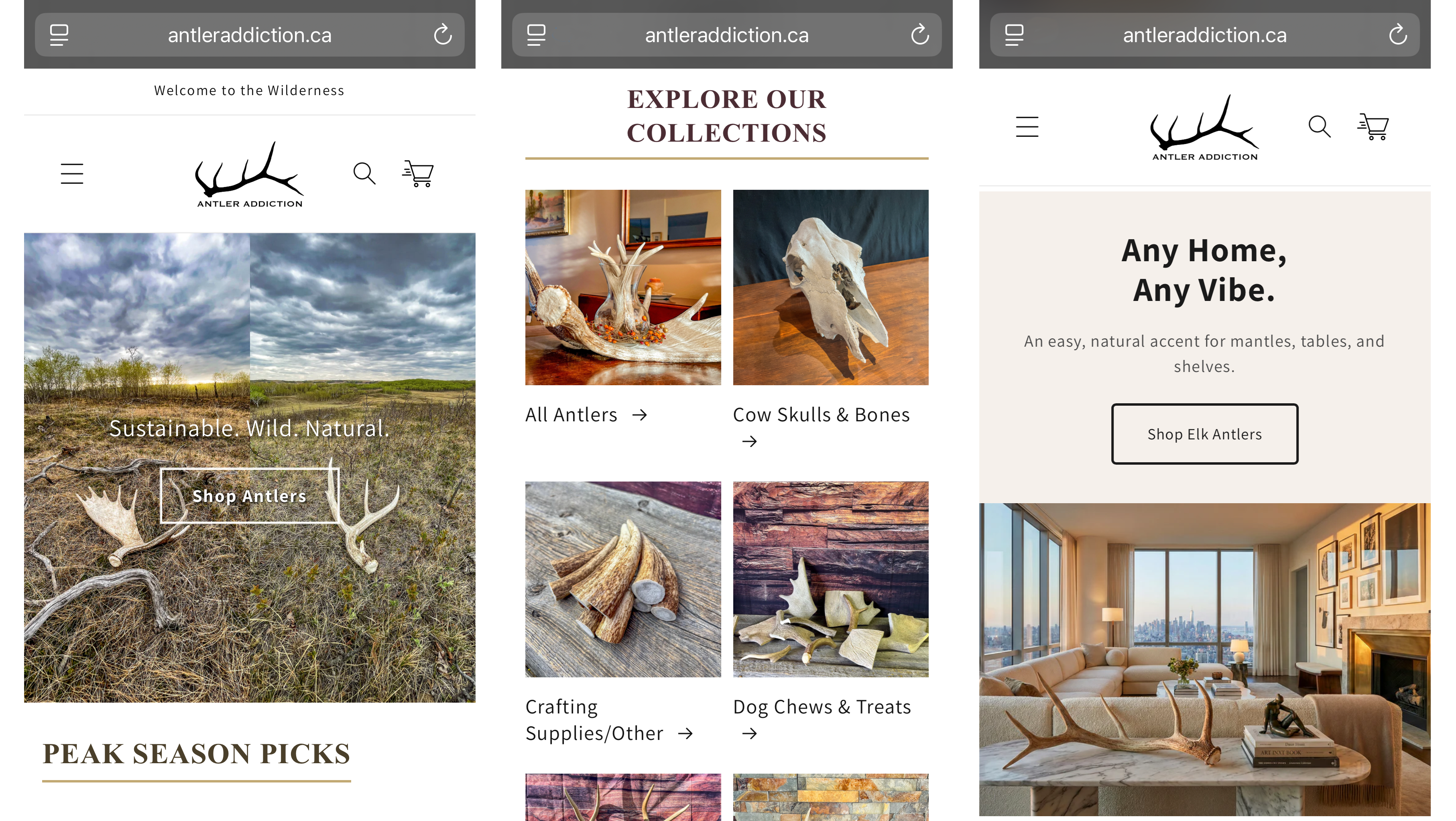 Mobile responsive design