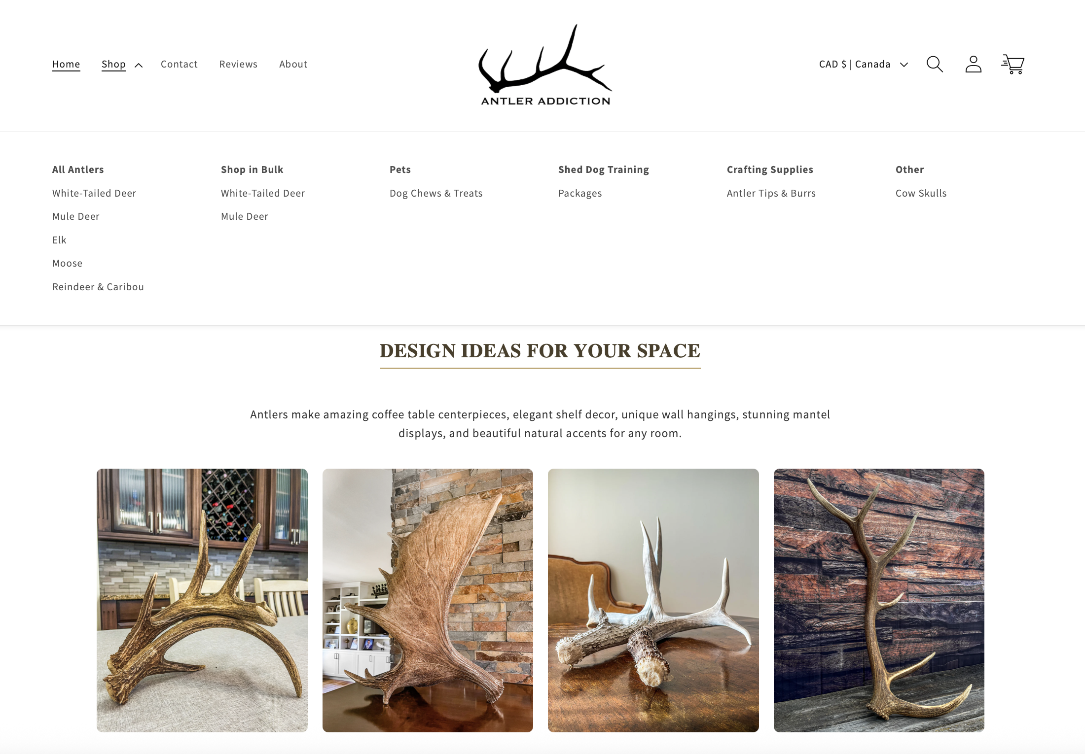 logo added to sticky header & sit enav