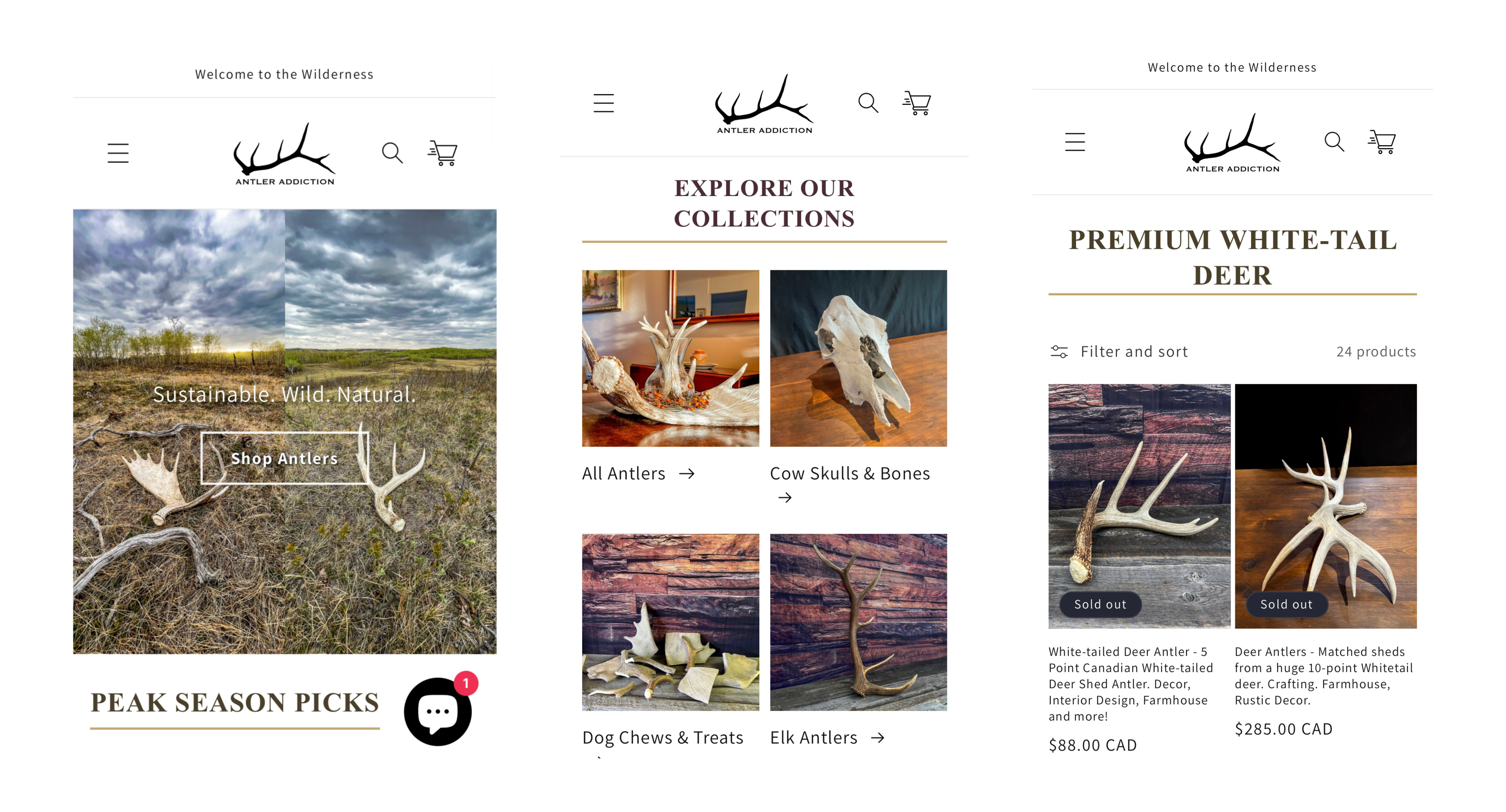 Antler Addiction Project