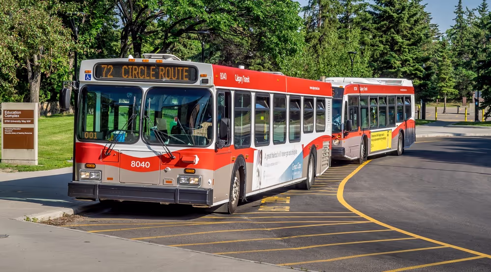 Identification Phase